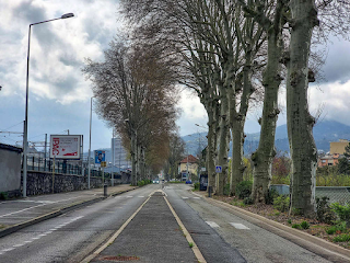 Chambéry : des platanes et des hommes, Avenue de la Boisse